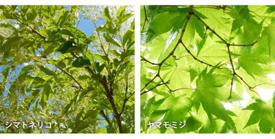 ソルティア千葉セントラル