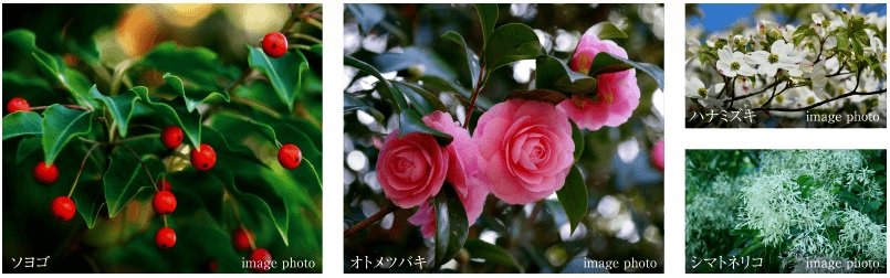 プレシス登戸
