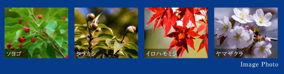 プレシス朝霞台ソルティエ