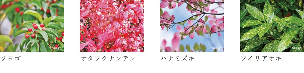 サンクレイドル高崎VII