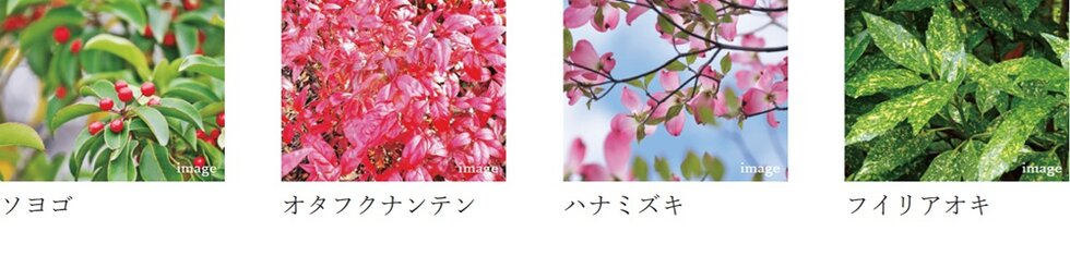 サンクレイドル高崎VII