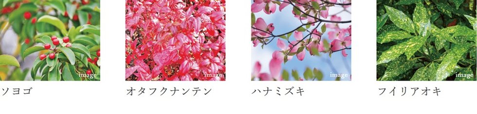 サンクレイドル高崎VII