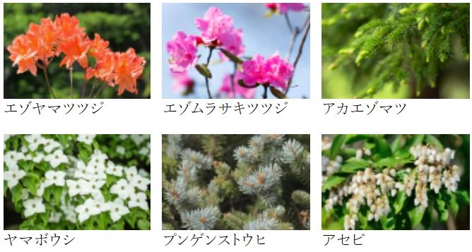 シティタワー札幌ザ・レジデンス