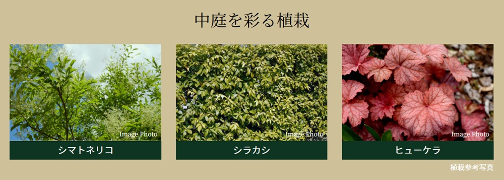シティテラス桜上水
