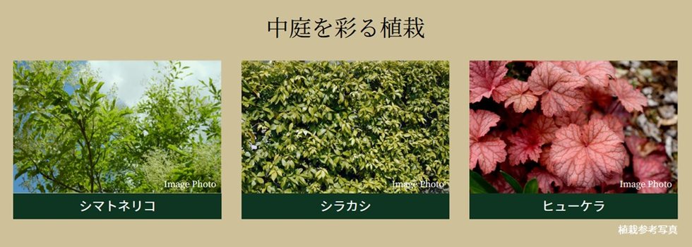 シティテラス桜上水