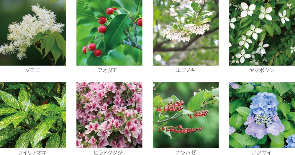 ザ・ライオンズ南塚口