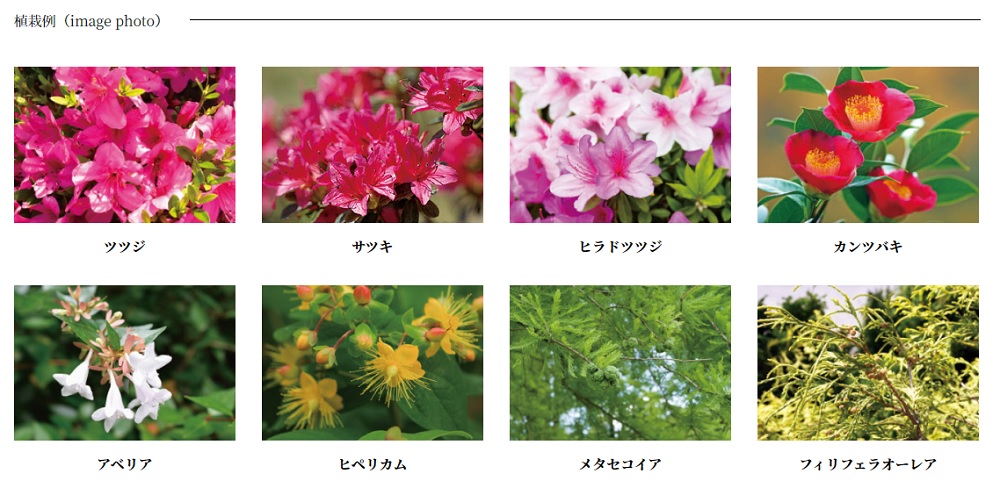 ヴェルディ・ザ・ガーデン大塚
