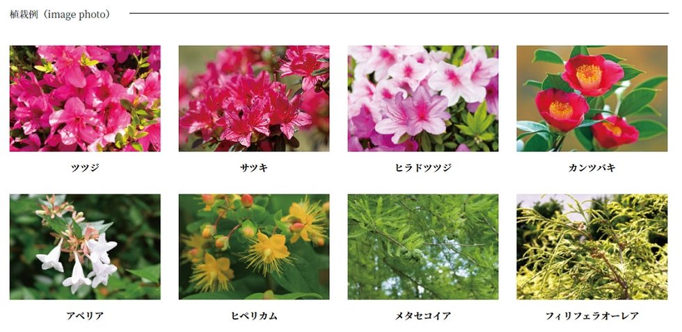ヴェルディ・ザ・ガーデン大塚