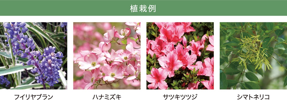 ヴェルディ古京町