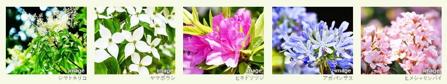 ポレスター堺