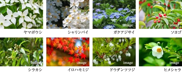 サンメゾン香里園駅前