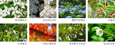 サンメゾン香里園駅前