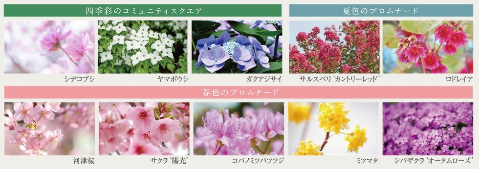 ジオ西宮テラス