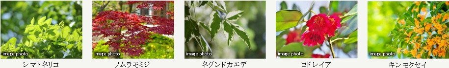 ポレスター仁保新町テラス