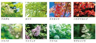 ザ・ライオンズ札幌植物園YAYOI GARDENS