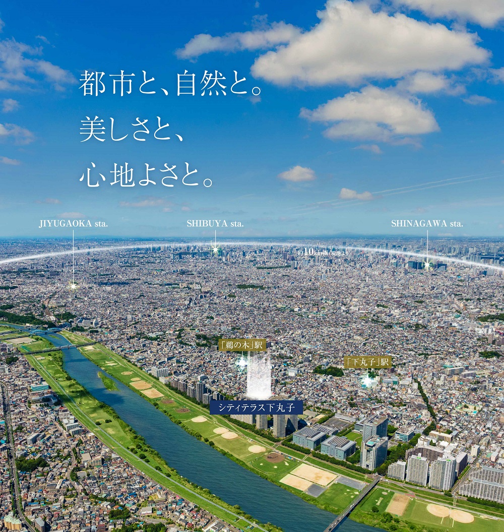 シティテラス下丸子