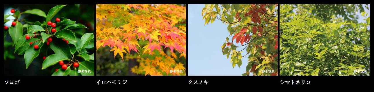 シティテラス下丸子