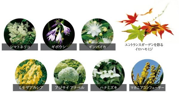ウィスティリア長泉サウス