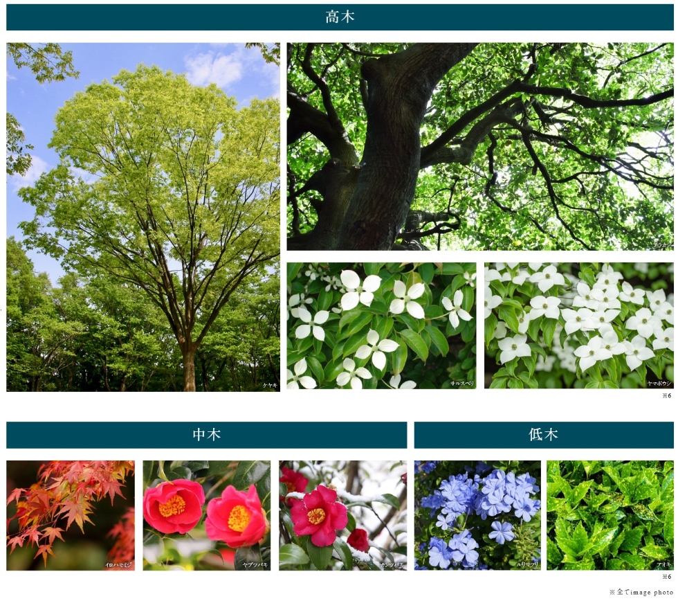 リーフィアレジデンス調布小島町