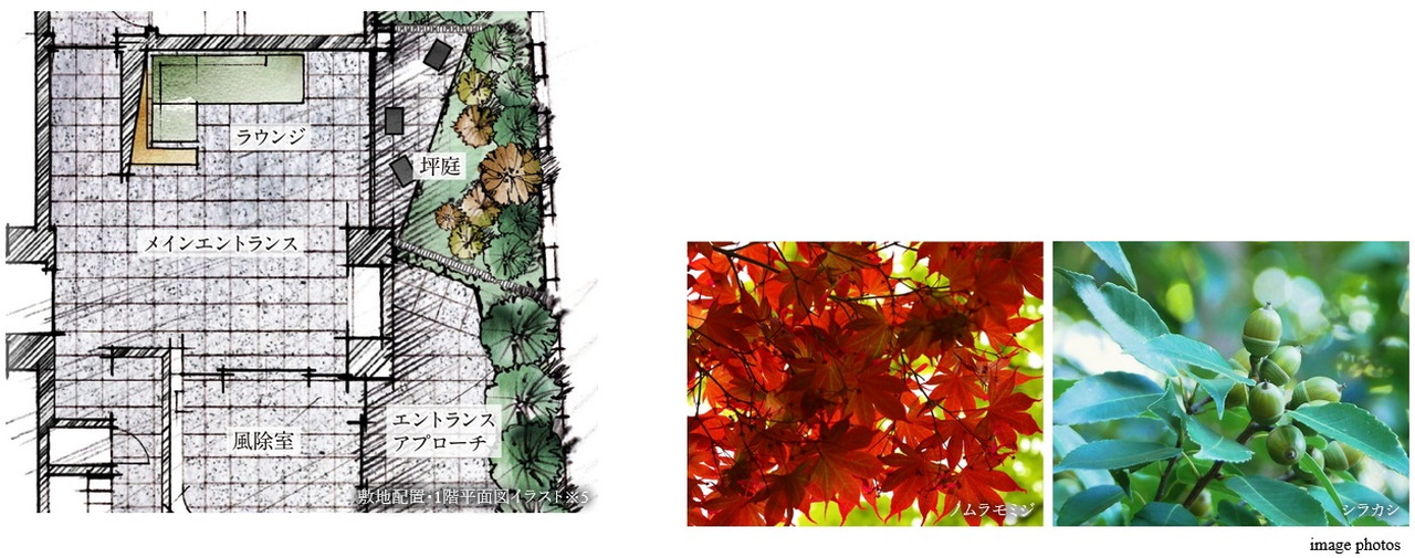 リーフィアレジデンス調布小島町