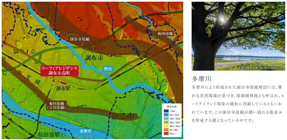 リーフィアレジデンス調布小島町