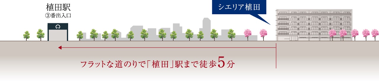 シエリア植田