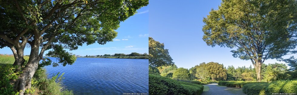 リーフィアレジデンス調布小島町