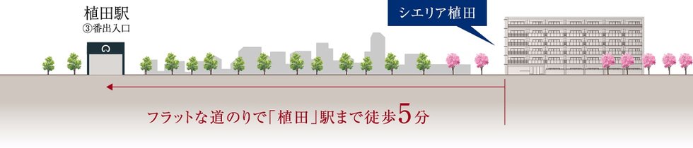 シエリア植田