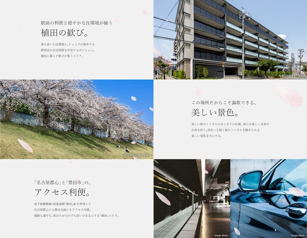 シエリア植田