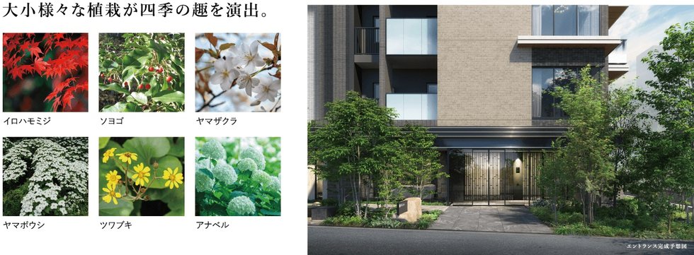 シエリア代官町