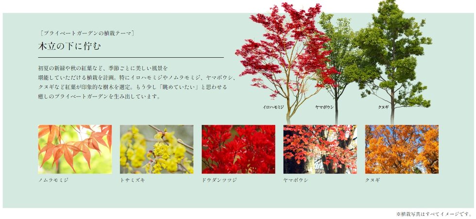 ガーデンシティ新金岡