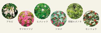 リナージュつくばみらい