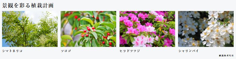 シティタワー錦糸公園
