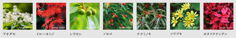 サーパス藤塚テラス