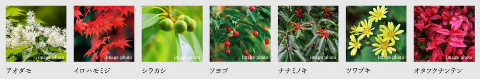 サーパス藤塚テラス