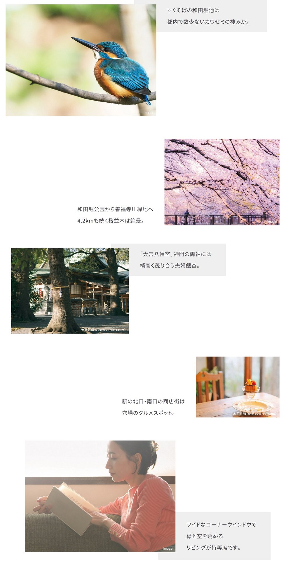 グランドメゾン杉並永福町