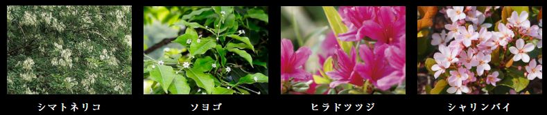 シティハウス天王寺堀越町
