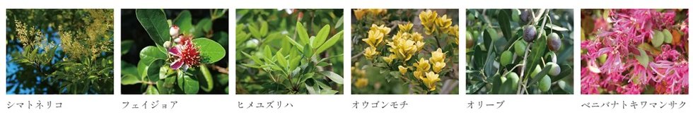 ヴェレーナ湘南藤沢