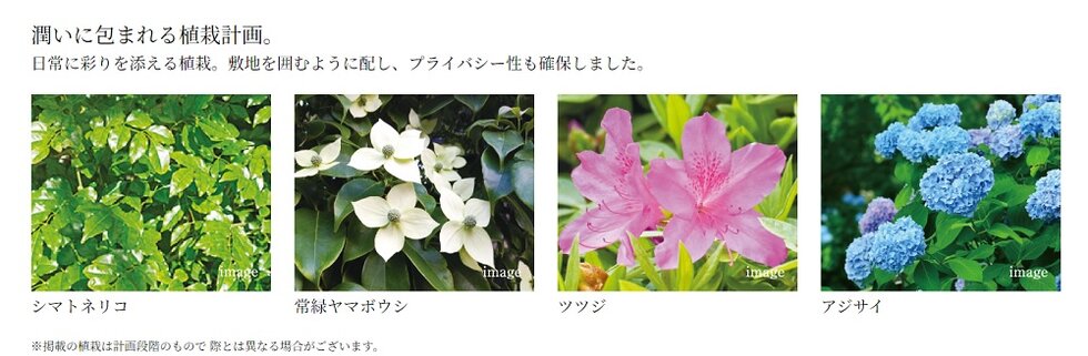 サンクレイドル西所沢ステーションウィズ