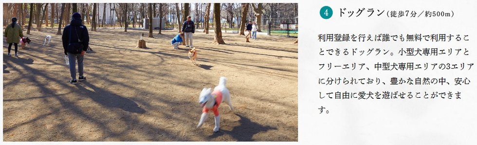 パークホームズ城北中央公園