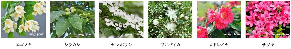 オープンレジデンシア星ヶ丘