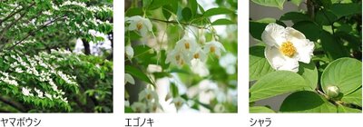 レ・ジェイド札幌大通ザ・タワー