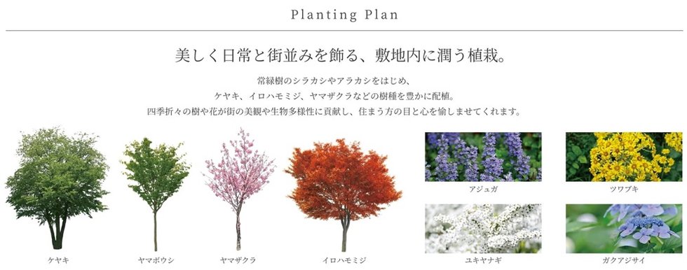 シエリア京橋 ウエスト＆イースト