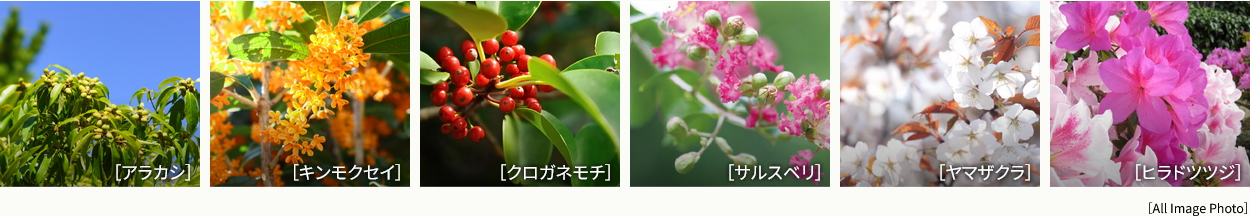 メイツ府中中河原