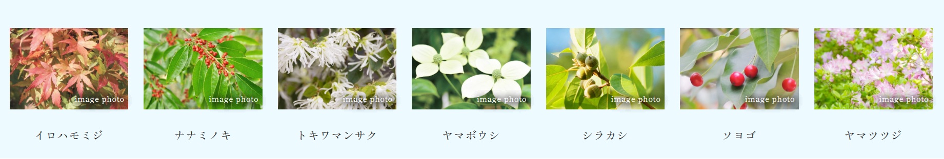 プラウド京王聖蹟桜ヶ丘