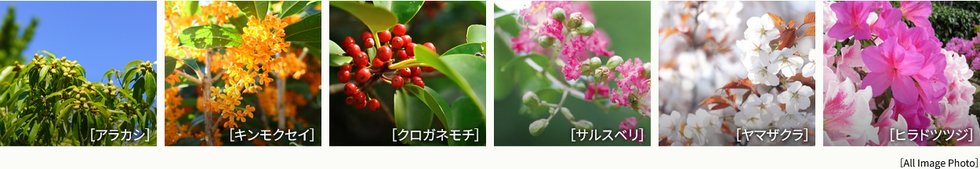 メイツ府中中河原