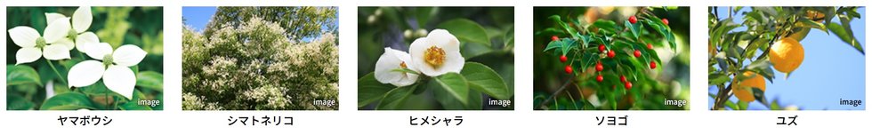 ガーラ・レジデンス横濱富岡
