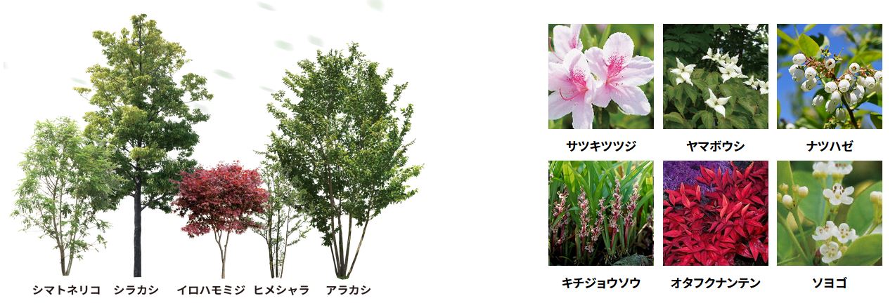 ファインセントラルシティ