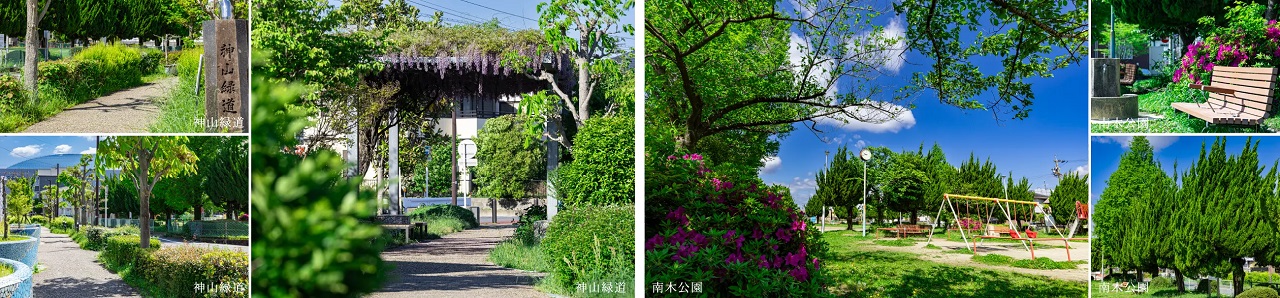 モアグレース住吉パークフロント