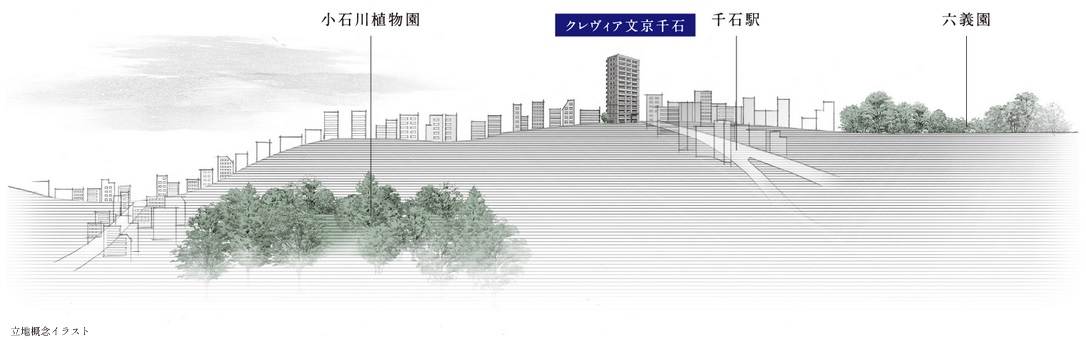 クレヴィア文京千石